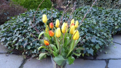 2-1-446-im-Bild-9663-tn